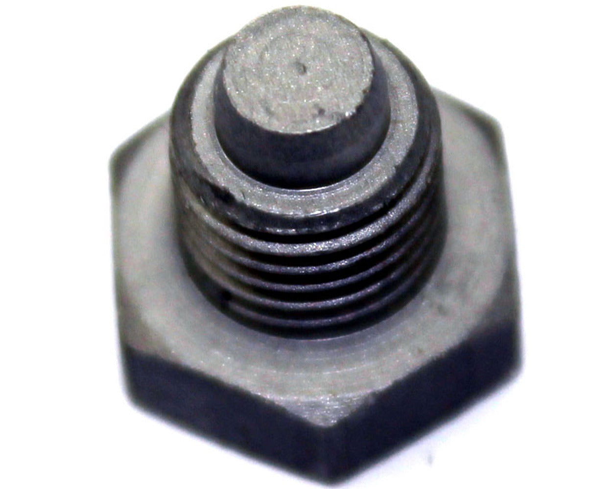 Fuel Filter Plug Screw