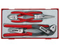 Teng Tools Plier Set Tpr Grip 4 Pieces - Tt440-T